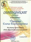 Сертификат с выставки-презентации на тему: "Мой образовательный маршрут" с VIII фестиваля-конкурса педаогического мастерства "Звездные россыпи"