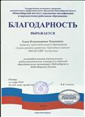 Благодарность "за активное участие в региональном учебно-практическом семинаре для педагогов образовательных организаций г. Новосибирска и Новосибирской области"